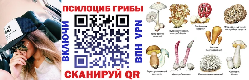 Купить где  Гулькевичи  Галлюциногенные грибы Cubensis 